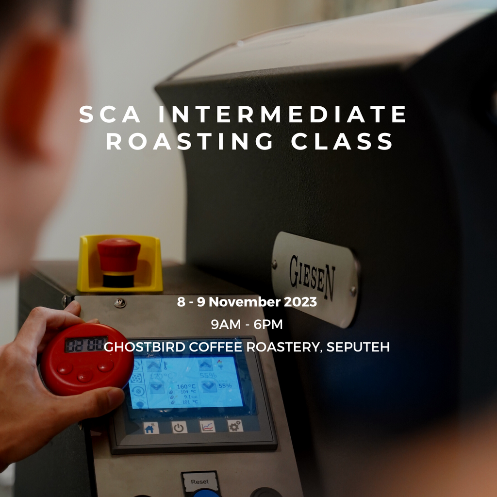 SCA Intermediate Roasting Class by Darren Chang