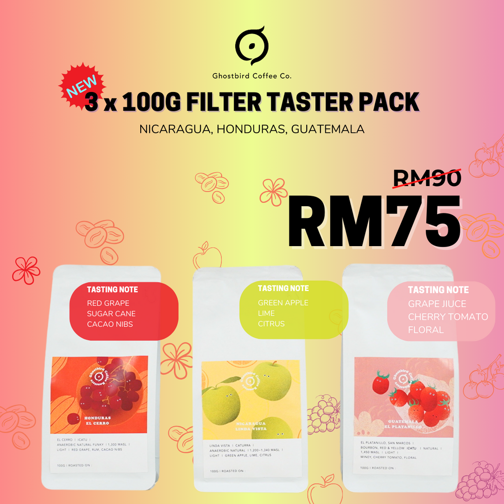 3 X 100 Filter Taster Pack