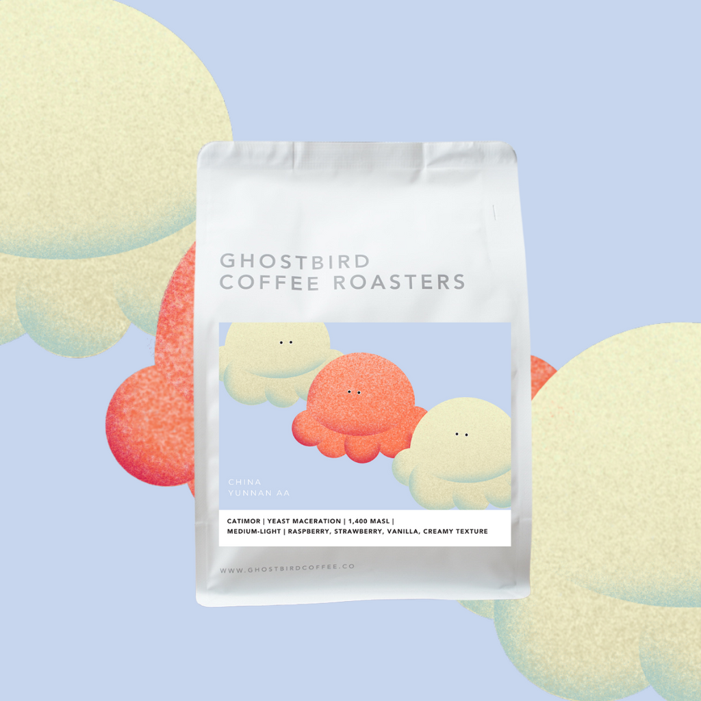 China Yunnan AA [Yeast Maceration]