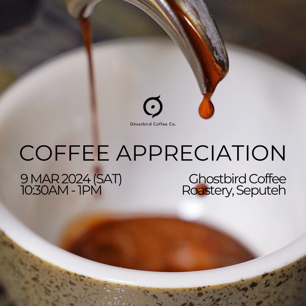 Coffee Appreciation
