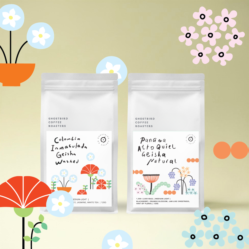 Everyday Geisha Bundle 2 X 120G