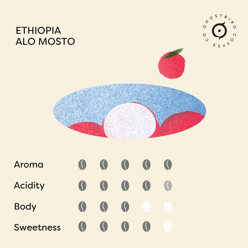 コーヒー OMOi KO MANDY affogato al caffe flavor OMOi KO MANDY affogato al caffe flavorファッション 通販