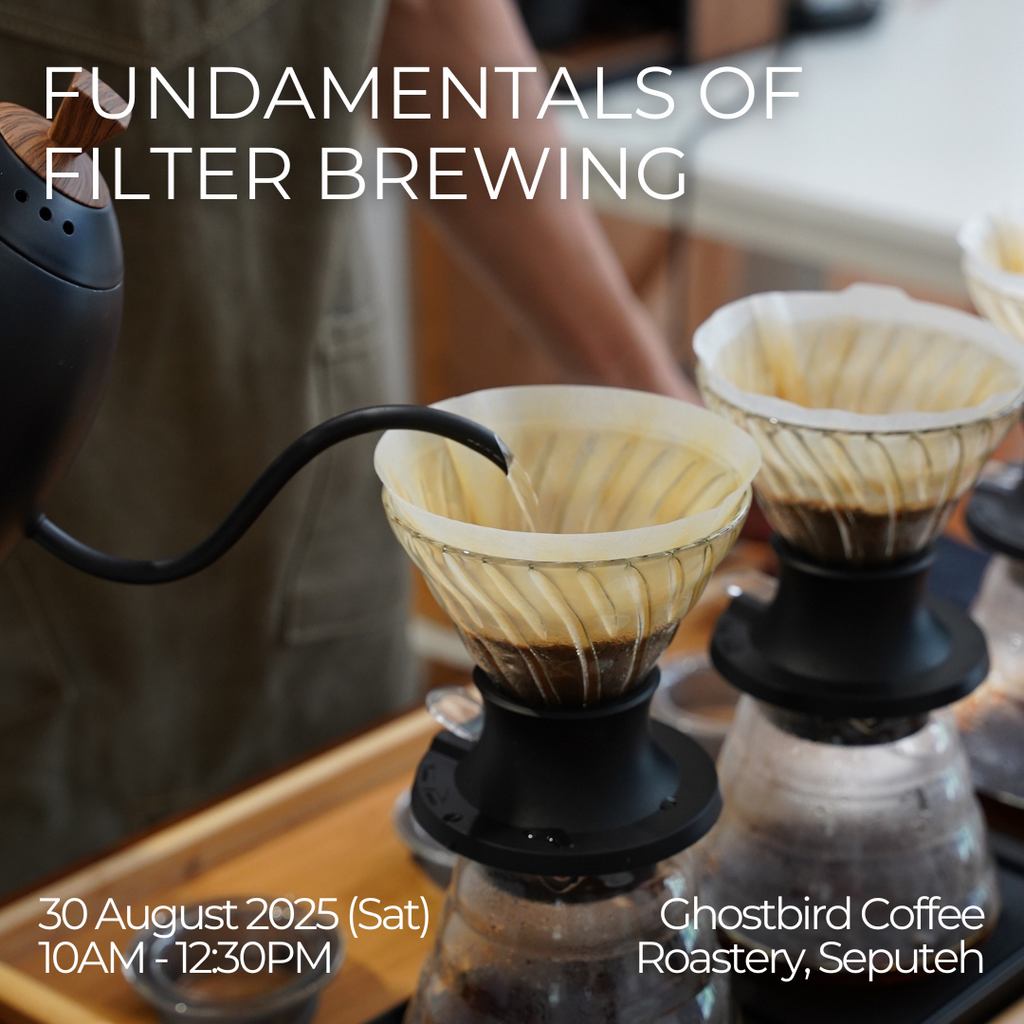 [30/8] Fundamentals of Filter Brewing