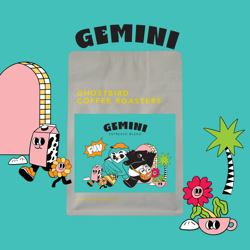 Gemini Espresso Blend