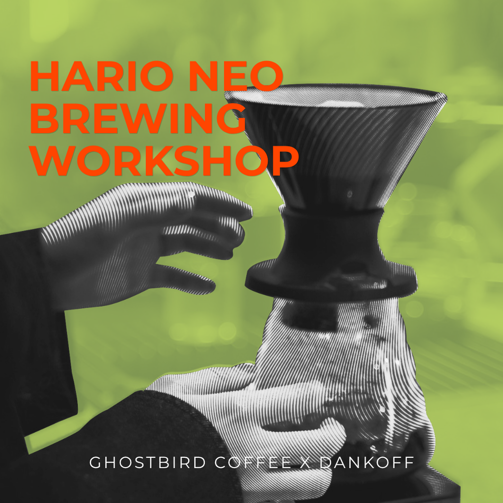 Fundamentals of Filter Brewing: Hario V60 Neo Edition