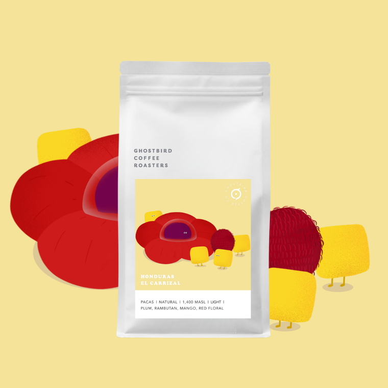 Ghostbird Coffee Honduras El Carrizal – specialty coffee beans Malaysia