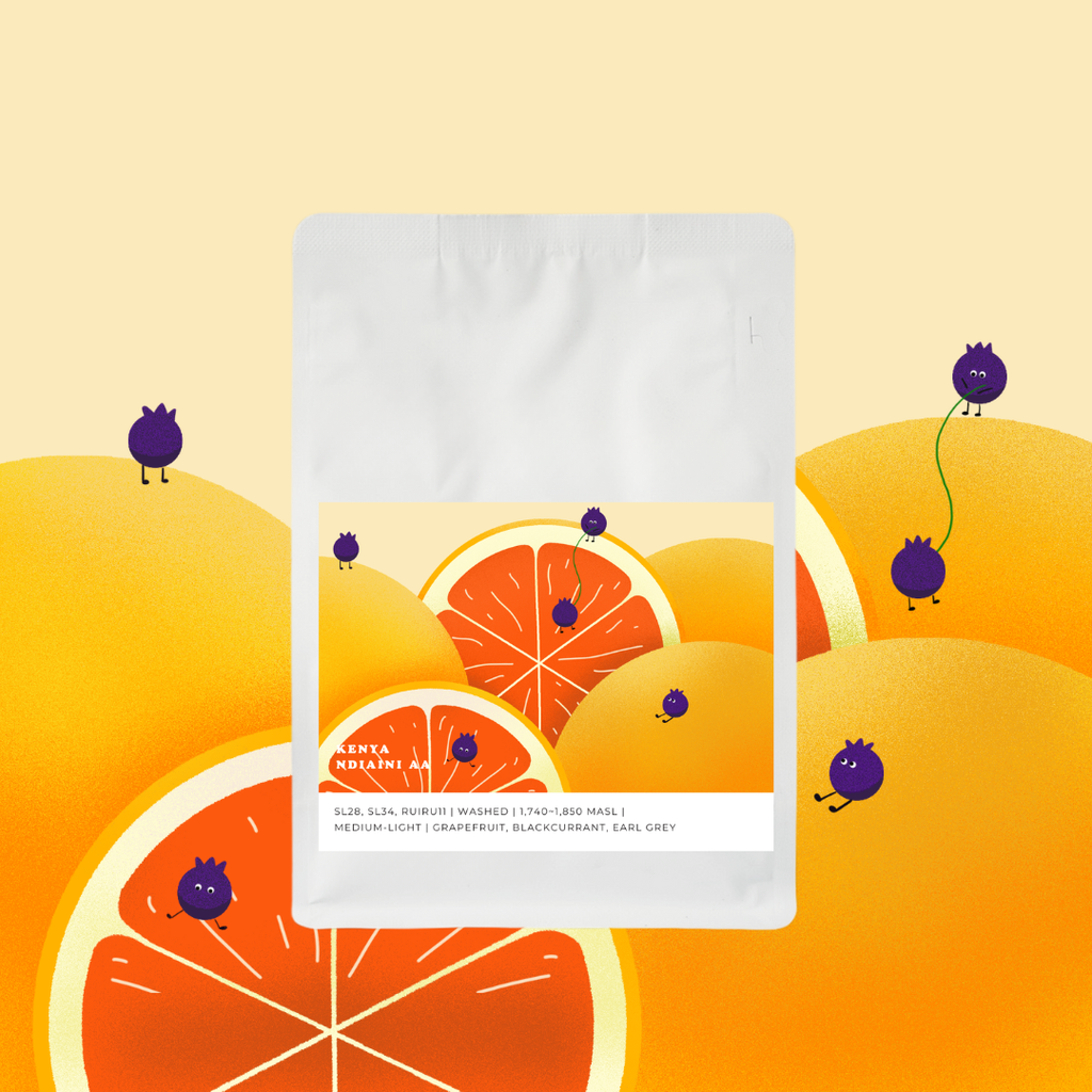 Kenya Ndiani AA [Washed]