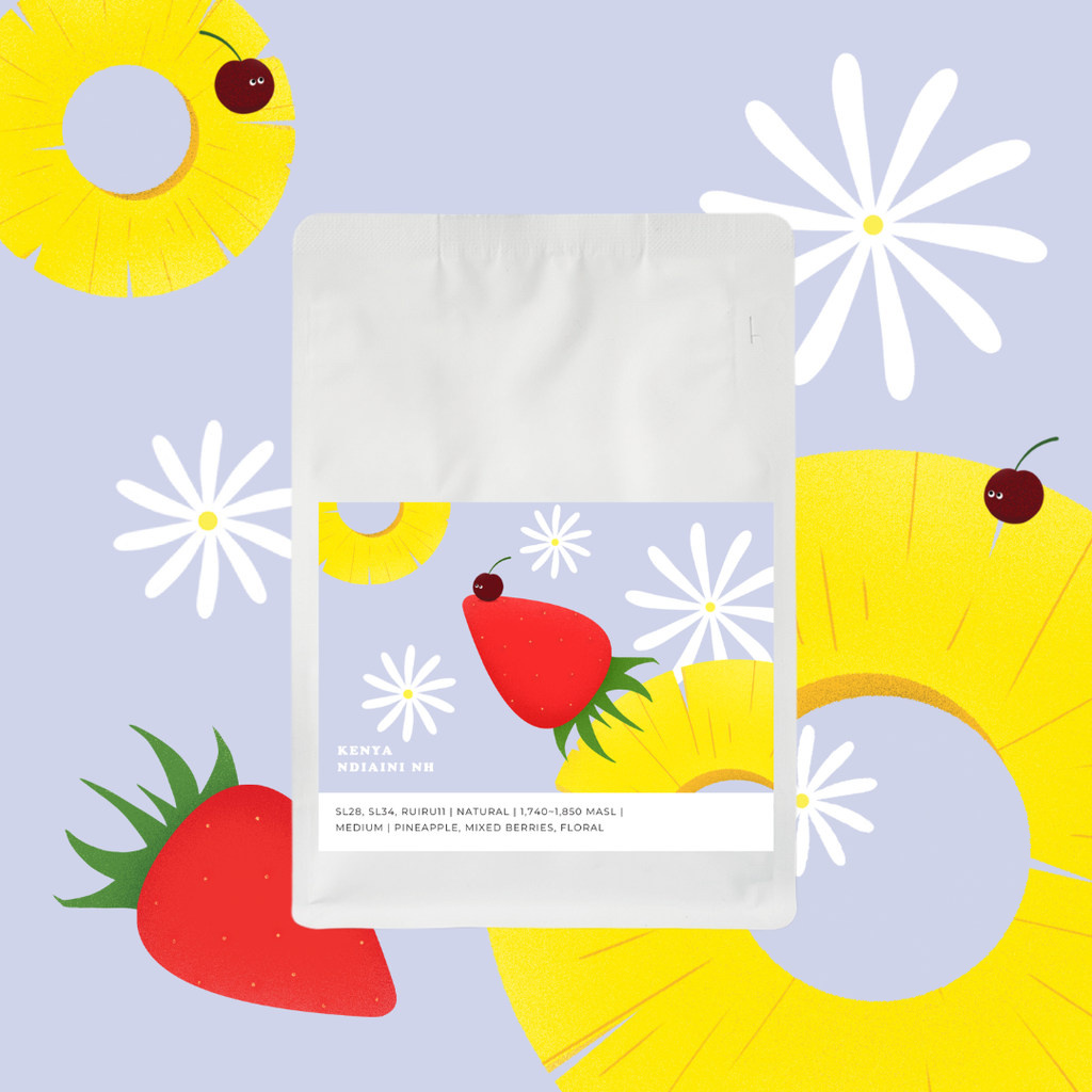 Kenya Ndiani NH [Natural]