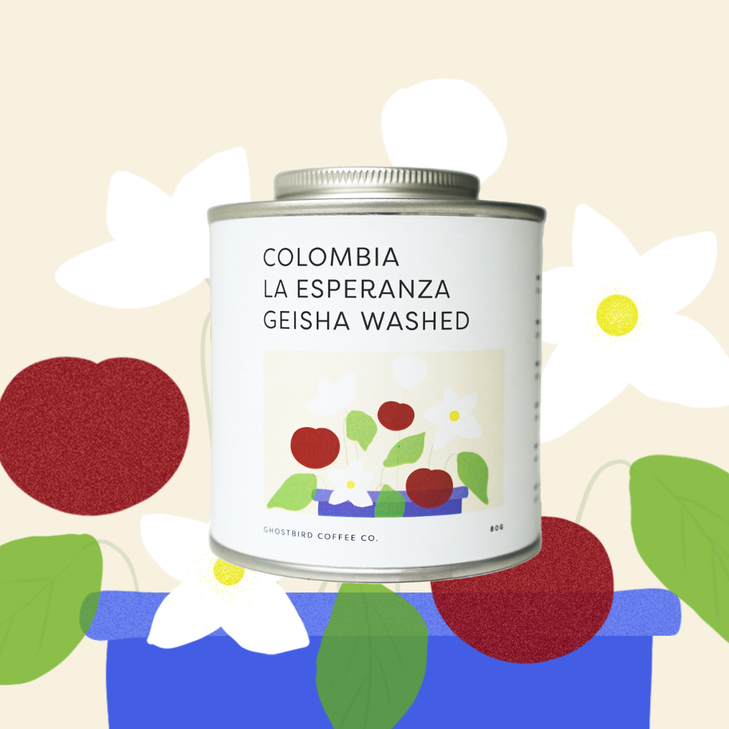 Colombia La Esperanza Geisha Washed