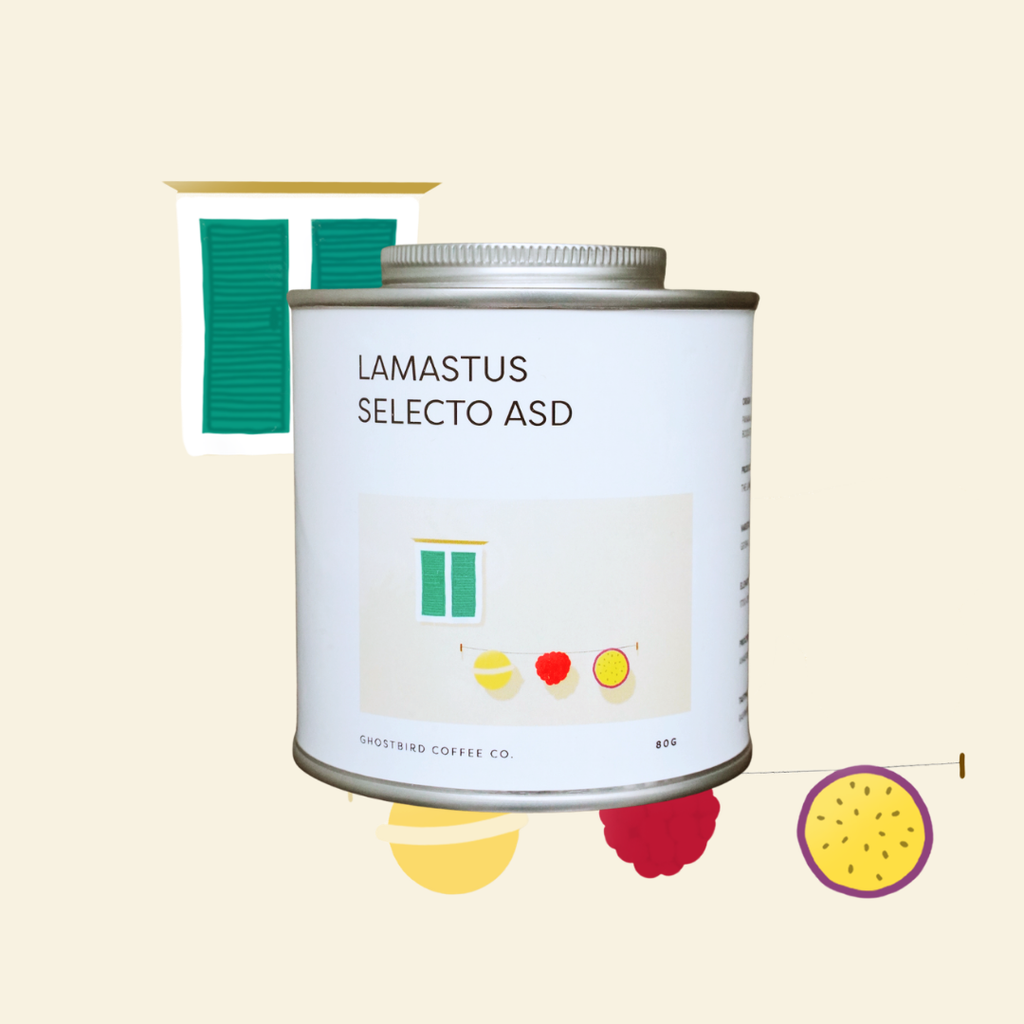 Panama Lamastus Selecto ASD