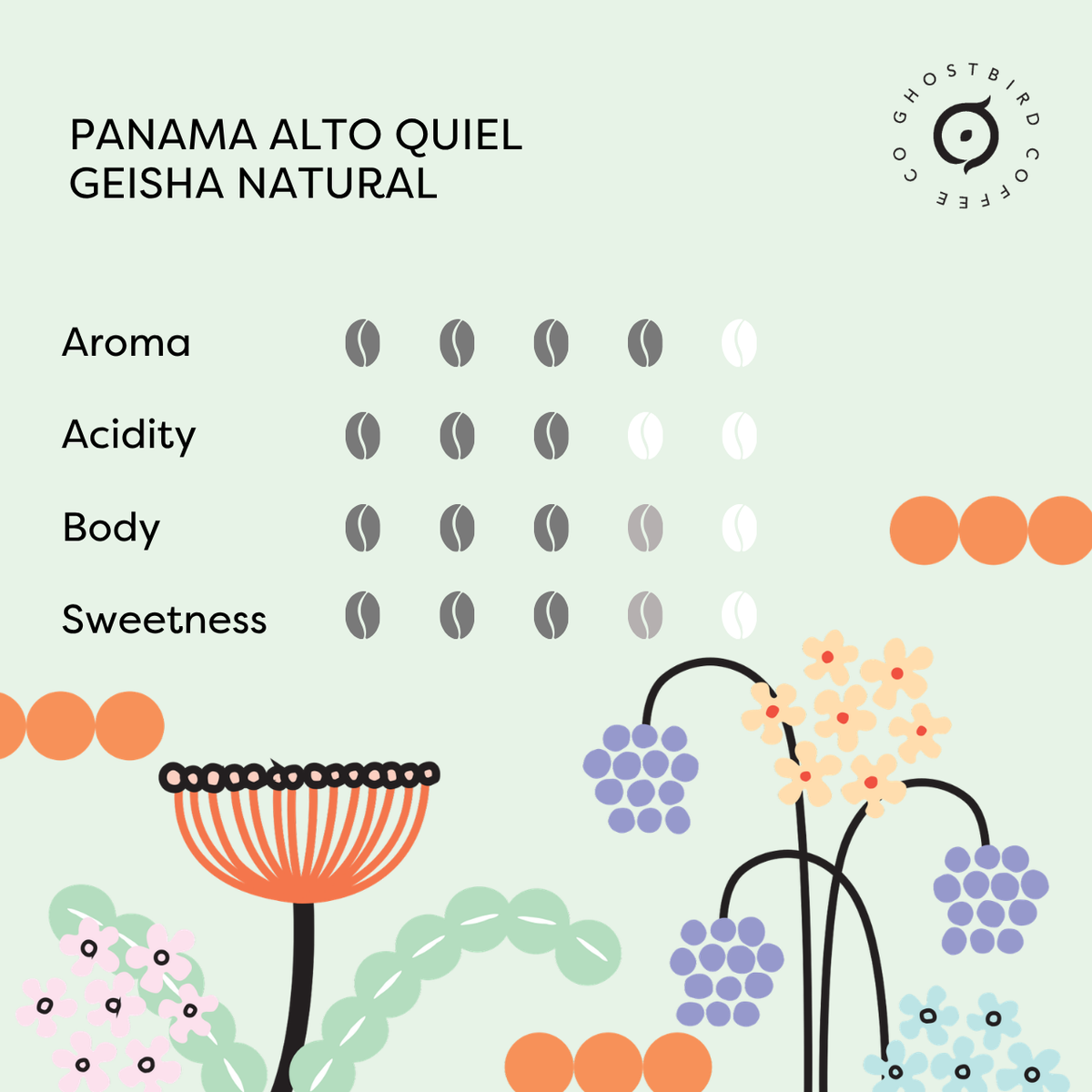 Panama Alto Quiel Geisha Natural – Ghostbird Coffee Co
