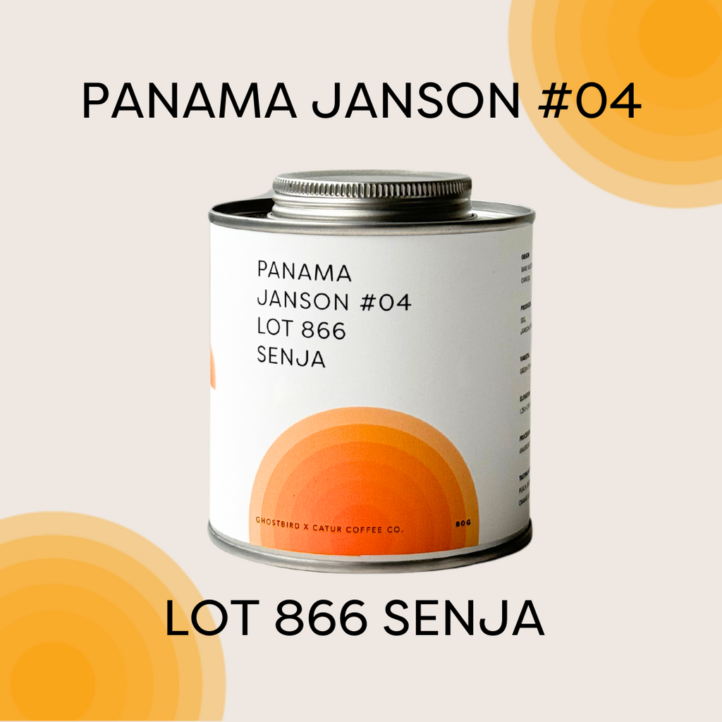 Panama Janson #04 Lot 866 Senja