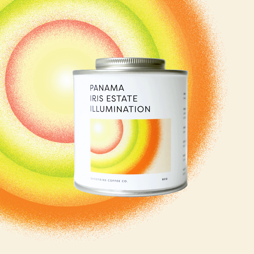 Panama Iris Estate Illumination