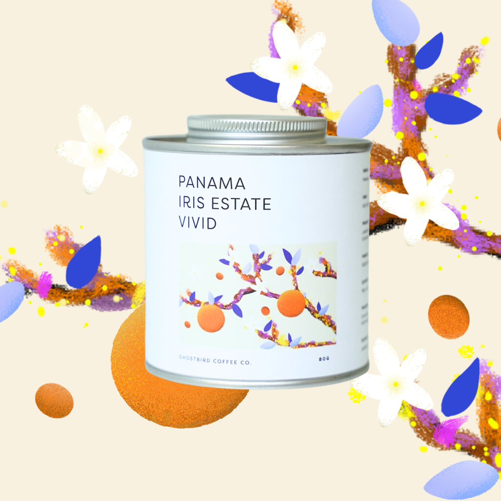 Panama Iris Estate Vivid