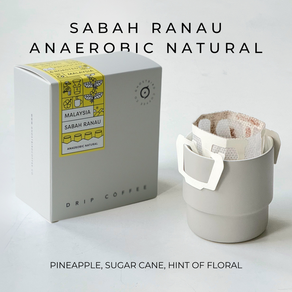 Owlsome Drip Bag Coffee - Sabah Ranau Anaerobic Natural
