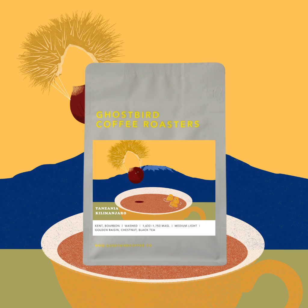 Tanzania Kilimanjaro Tanzania Kilimanjaro